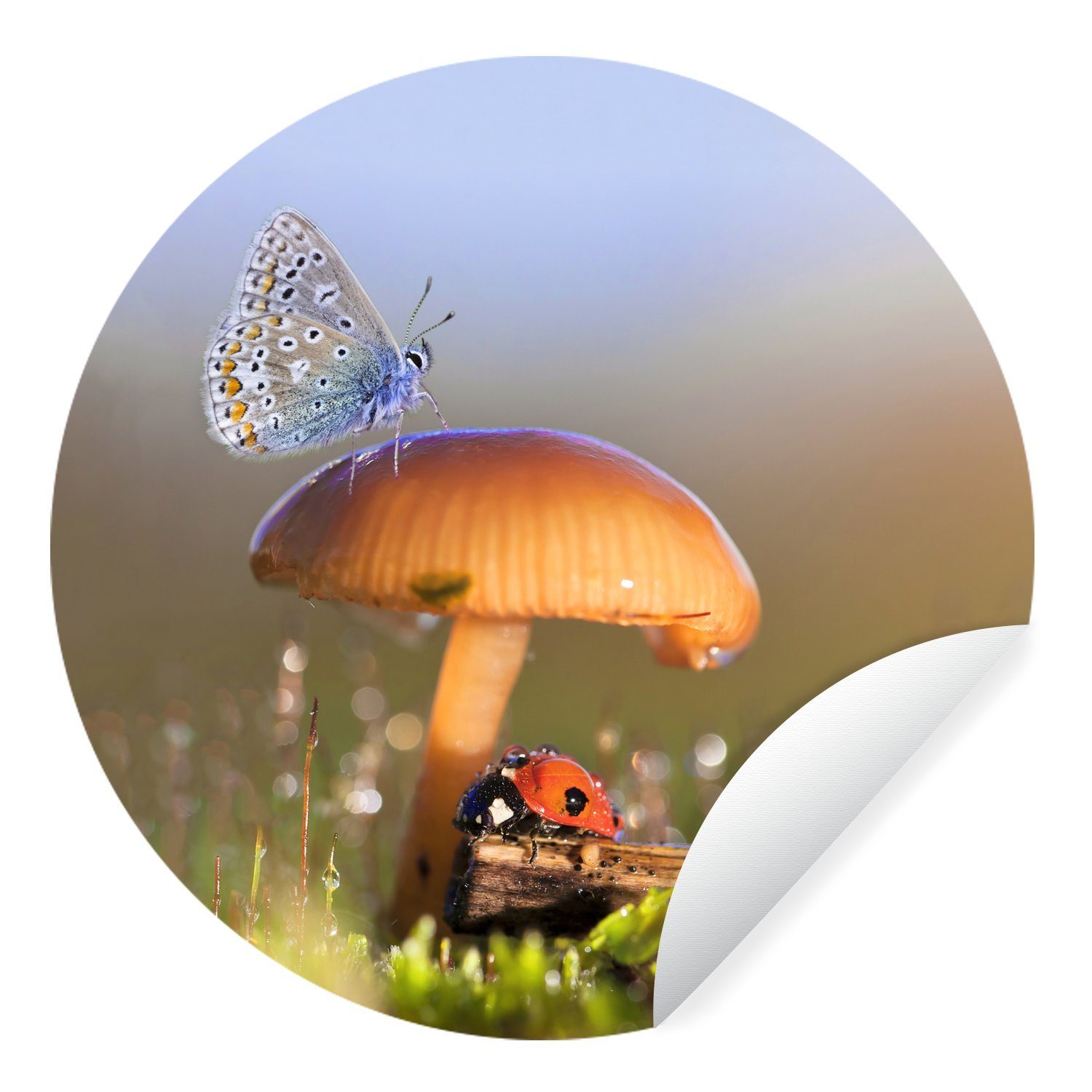 MuchoWow Wandsticker Schmetterling - Marienkäfer - Pilz (1 St), Tapetenkreis für Kinderzimmer, Tapetenaufkleber, Rund, Wohnzimmer