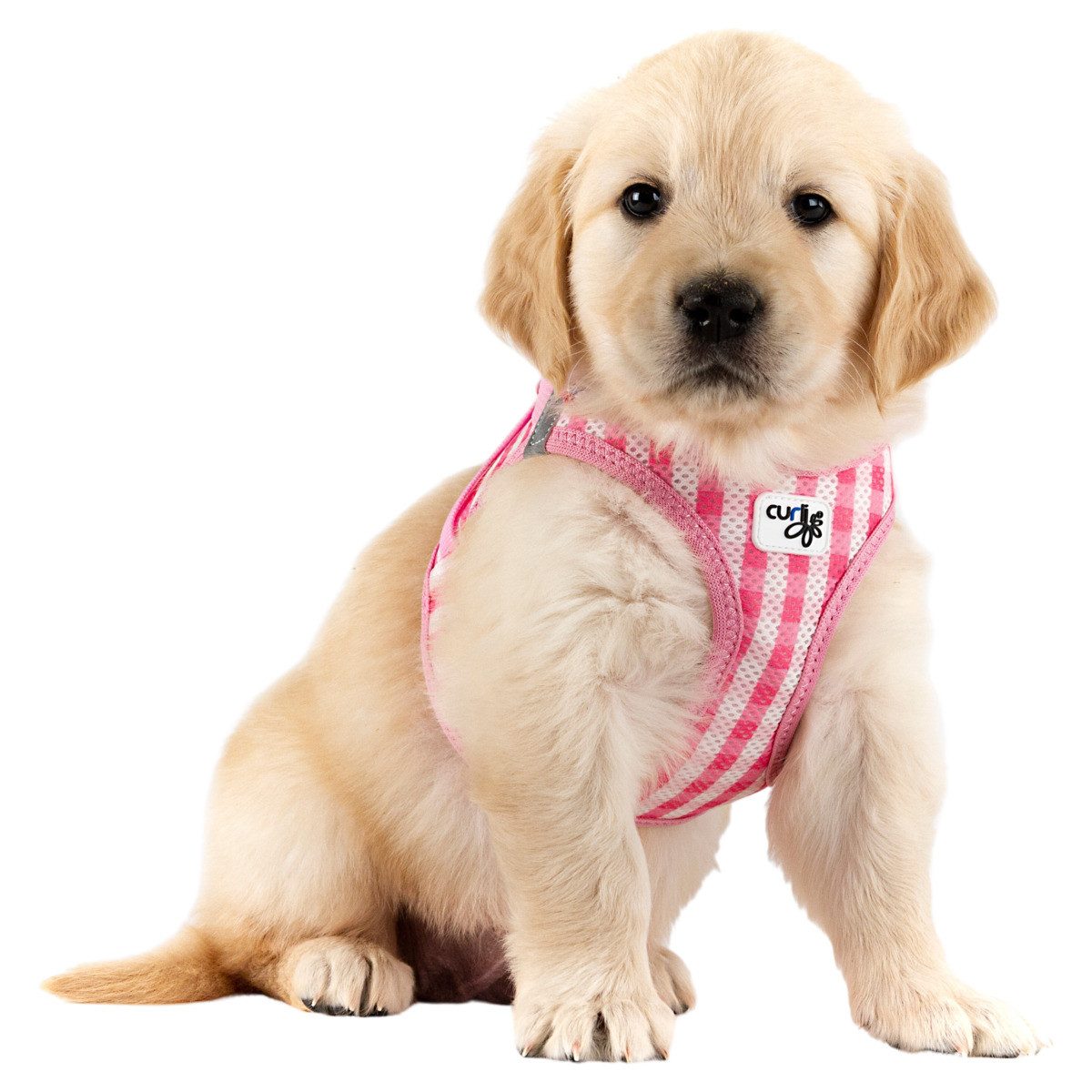 Curli Hunde-Geschirr Clasp Vest Geschirr Puppy Set pink-caro
