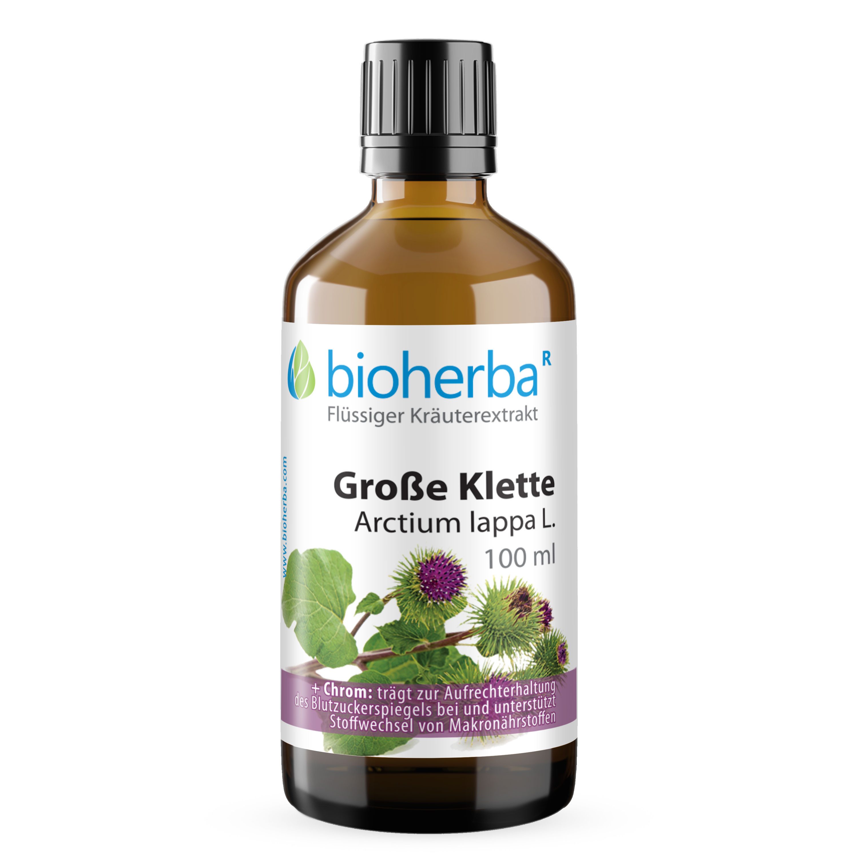 BIOHERBA R Bioherba Grosse Klette Arctium lappa L. Tropfen Tinktur 100 ml Glasflasche, 1 er