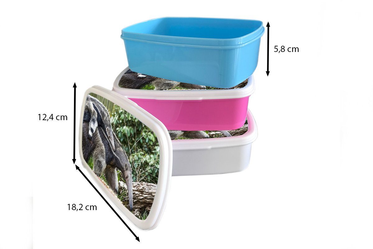 MuchoWow Lunchbox Ameisenbär - Pflanze Brotdose, und Tier, Kunststoff, (2-tlg), Mädchen für Erwachsene, für Kinder und Brotbox Jungs weiß 