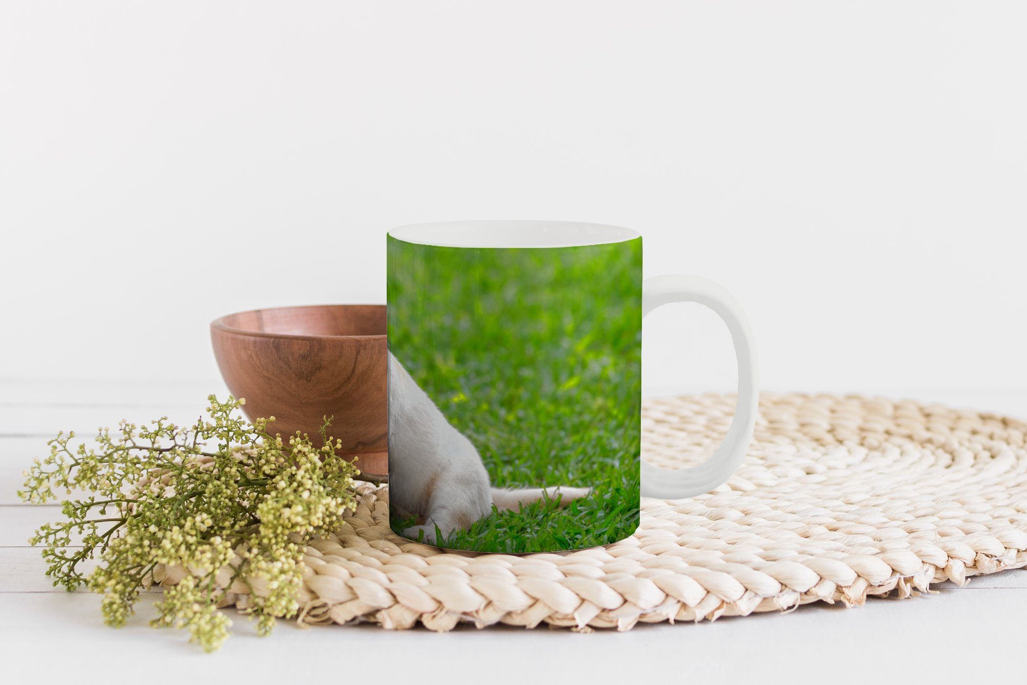 Becher, Tasse Keramik, Teetasse, Welpe sitzt im MuchoWow Gras, Teetasse, Kaffeetassen, Geschenk