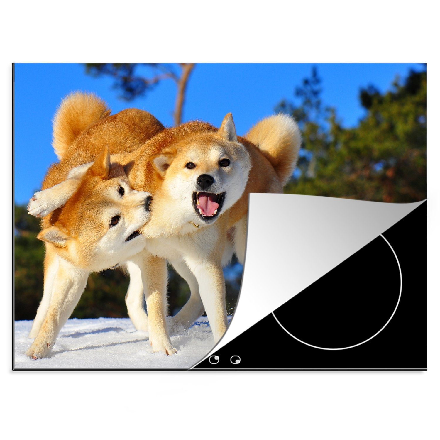 MuchoWow Herdblende-/Abdeckplatte Zwei Shiba-Hunde spielen im Schnee, Vinyl, (1 tlg), 70x52 cm, Mobile Arbeitsfläche nutzbar, Ceranfeldabdeckung