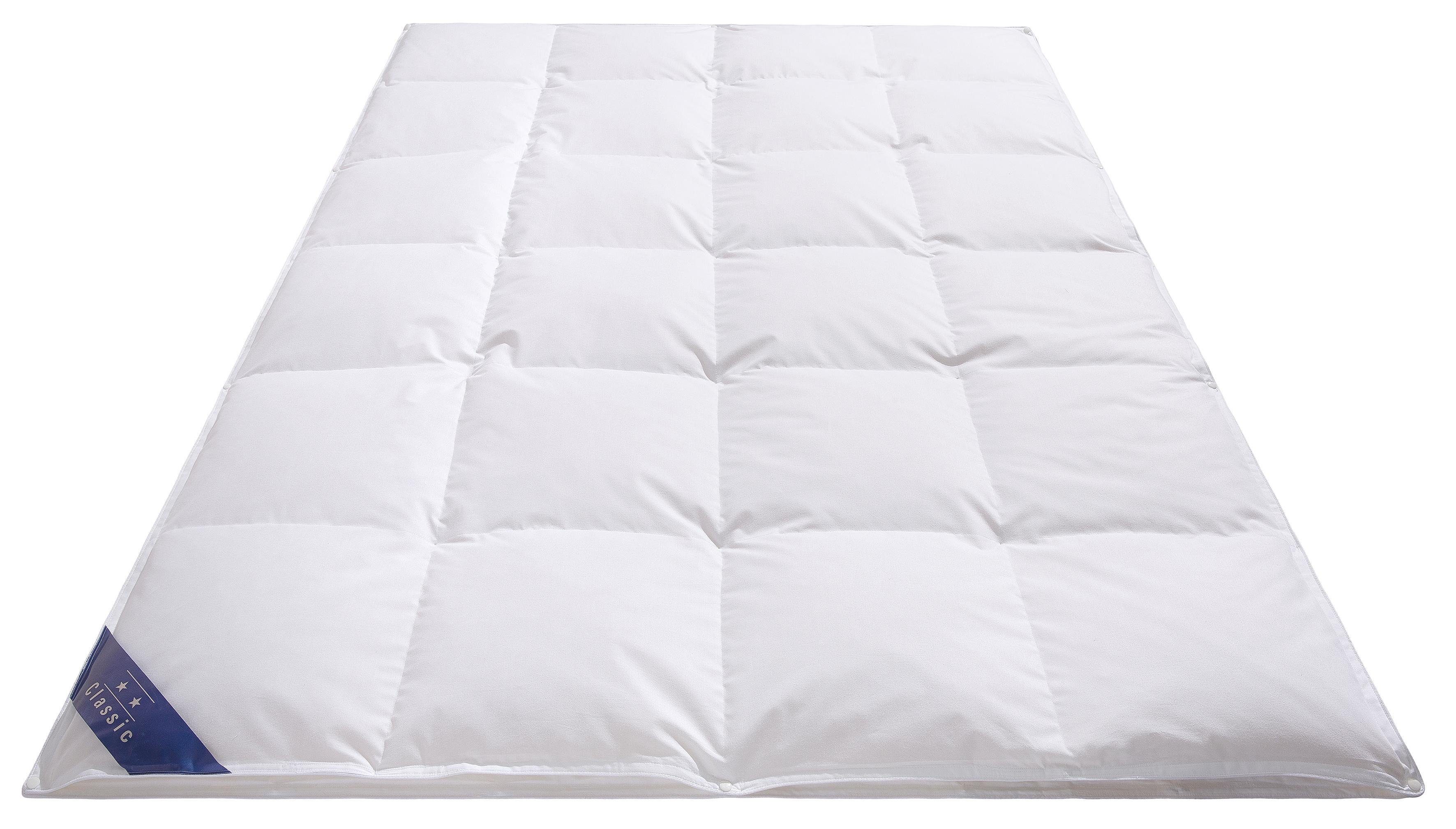 Hanse by RIBECO Federbettdecke Jonas, Füllung: 30% Daunen, 70% Federn, Bezug: 100% Baumwolle, Bettdecke für alle Jahreszeiten, Made in Germany