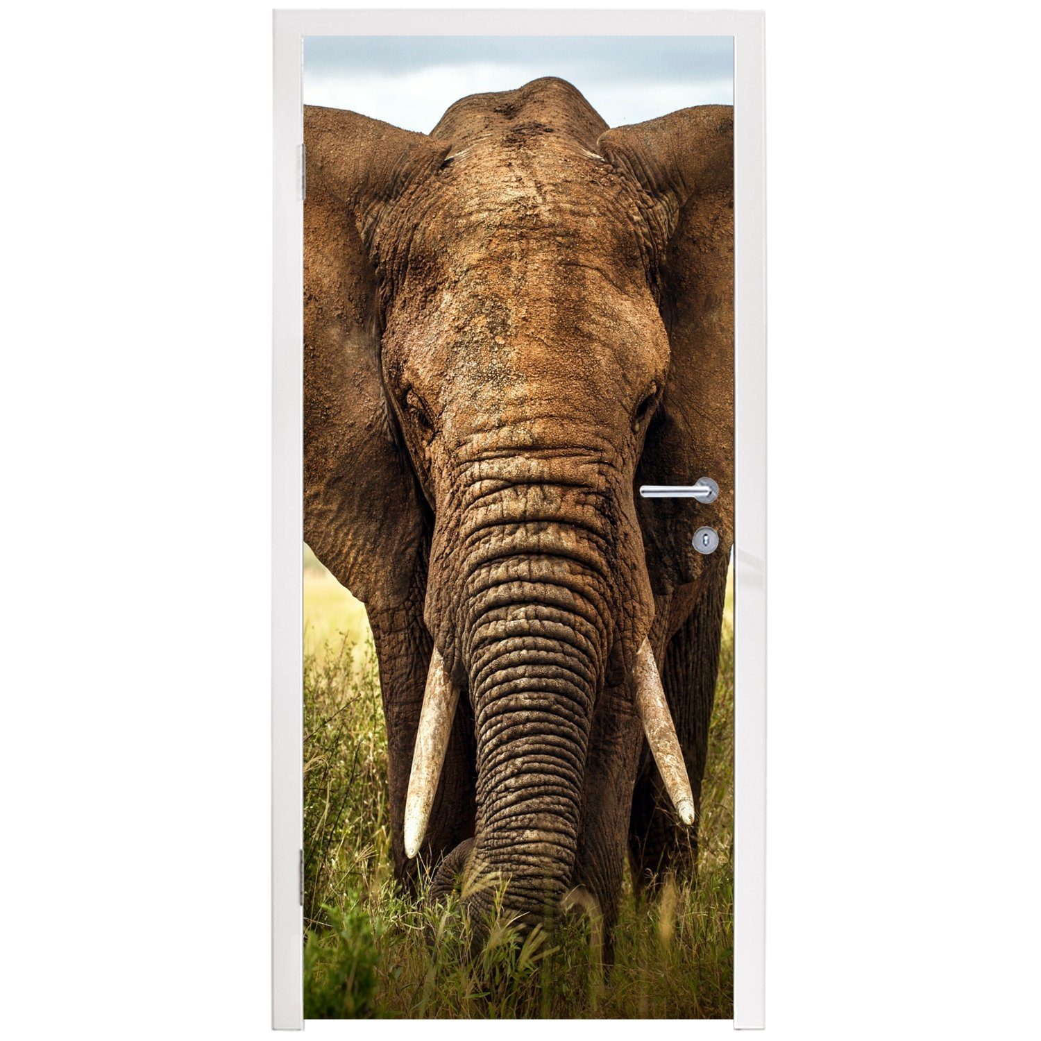 cm bedruckt, Elefant MuchoWow Türaufkleber, Fototapete für Tür, (1 75x205 St), Afrikanischer Türtapete Matt, Vorderansicht,