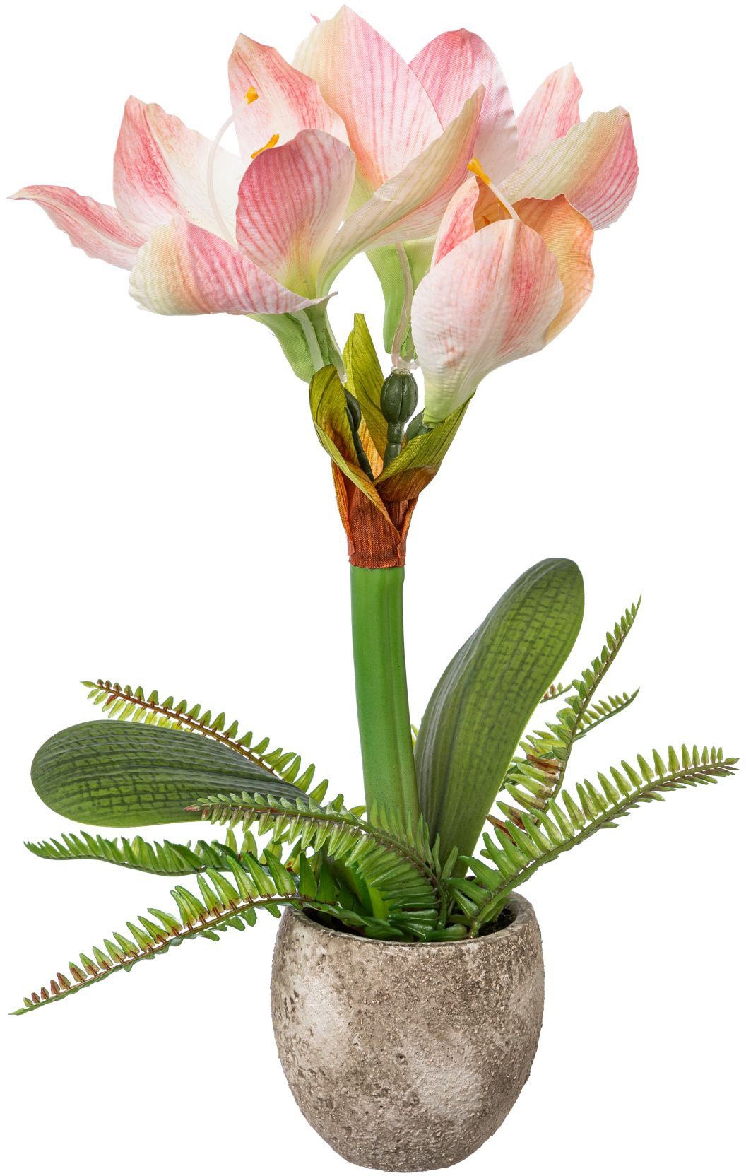 Winterliche Kunstpflanze Weihnachtsdeko Amaryllis, cm, Blumenpracht green, 35 im Höhe Creativ Zementtopf mit Farnzweigen
