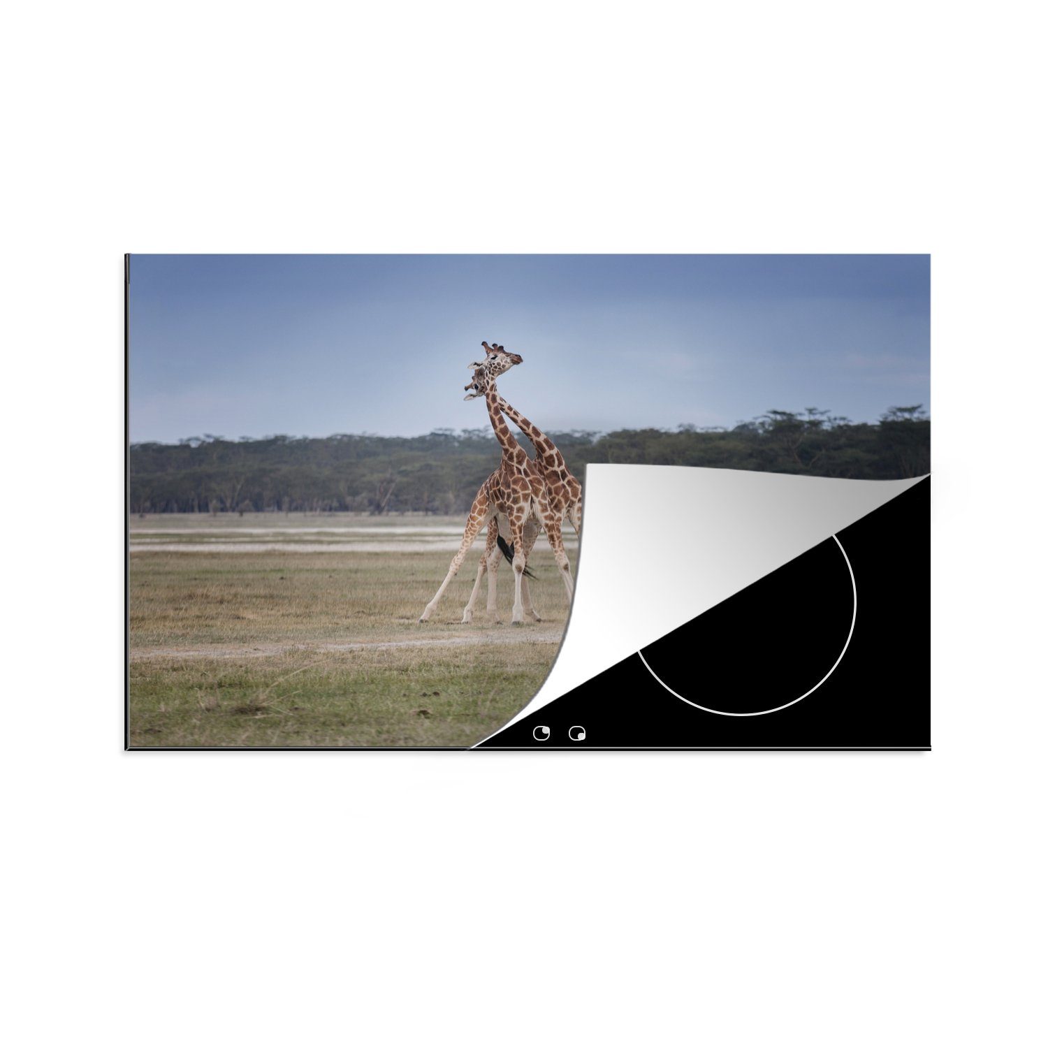 MuchoWow Herdblende-/Abdeckplatte Zwei Giraffen in einer kargen Steppe, Vinyl, (1 tlg), 81x52 cm, Induktionskochfeld Schutz für die küche, Ceranfeldabdeckung