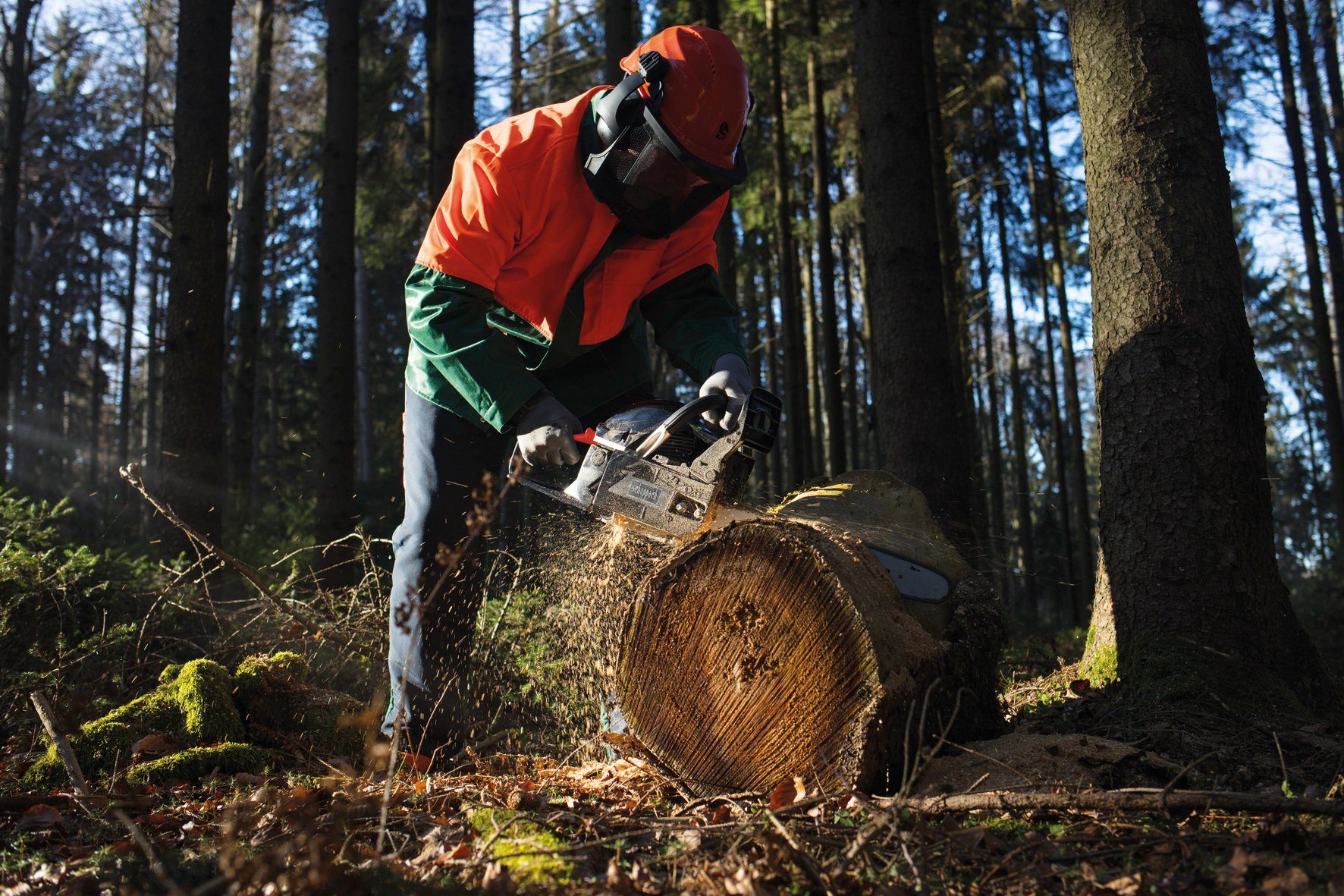 Scheppach Benzin-Kettensäge CSH56 ProCut, 51 cm günstig online kaufen