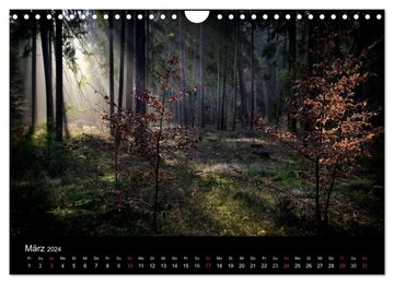 CALVENDO Wandkalender Waldkalender (Wandkalender 2024 DIN A4 quer), CALVENDO Monatskalender
