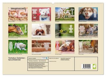 CALVENDO Wandkalender Tierbabys Gedanken - Spruchkalender (Premium, hochwertiger DIN A2 Wandkalender 2023, Kunstdruck in Hochglanz)
