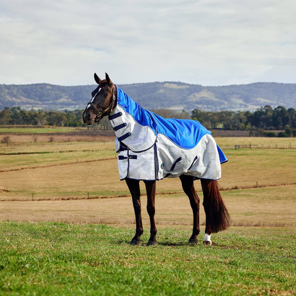 WeatherBeeta Pferde-Regendecke Weatherbeeta Comfitec Duo Shield Detach-A-Neck