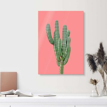 Posterlounge Acrylglasbild Finlay and Noa, Kaktus in Pink, Wohnzimmer Skandinavisch Fotografie