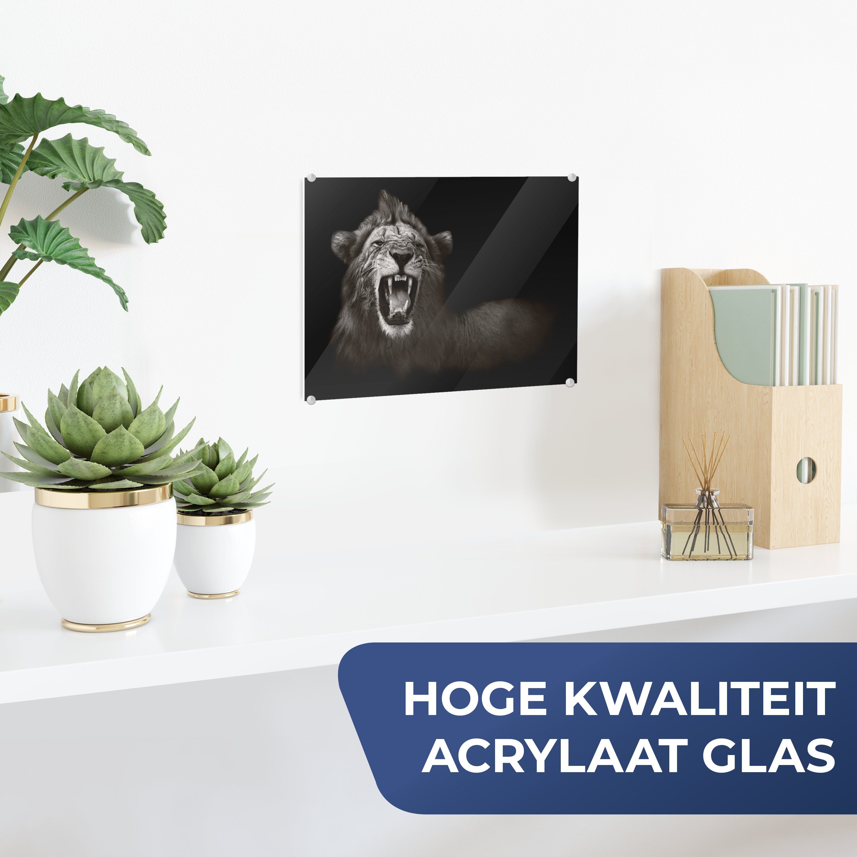 MuchoWow Acrylglasbild Löwe - Wild (1 Wanddekoration St), Bilder Glasbilder auf - Weiß, Schwarz - - Glas auf Wandbild Foto Glas - 