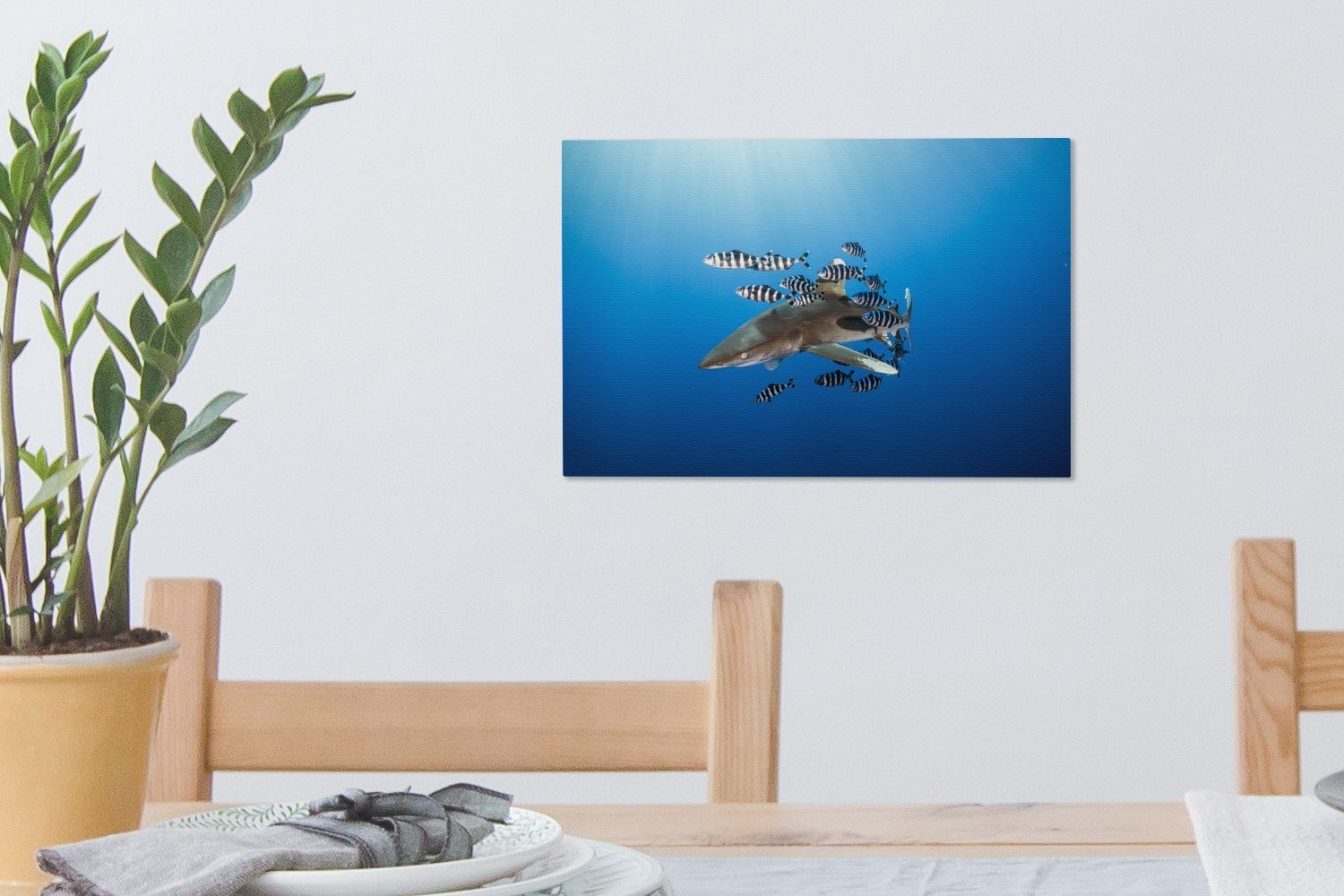 (1 Wanddeko, Leinwandbilder, Wandbild Aufhängefertig, Fisch, OneMillionCanvasses® mit Leinwandbild cm Hai St), 30x20