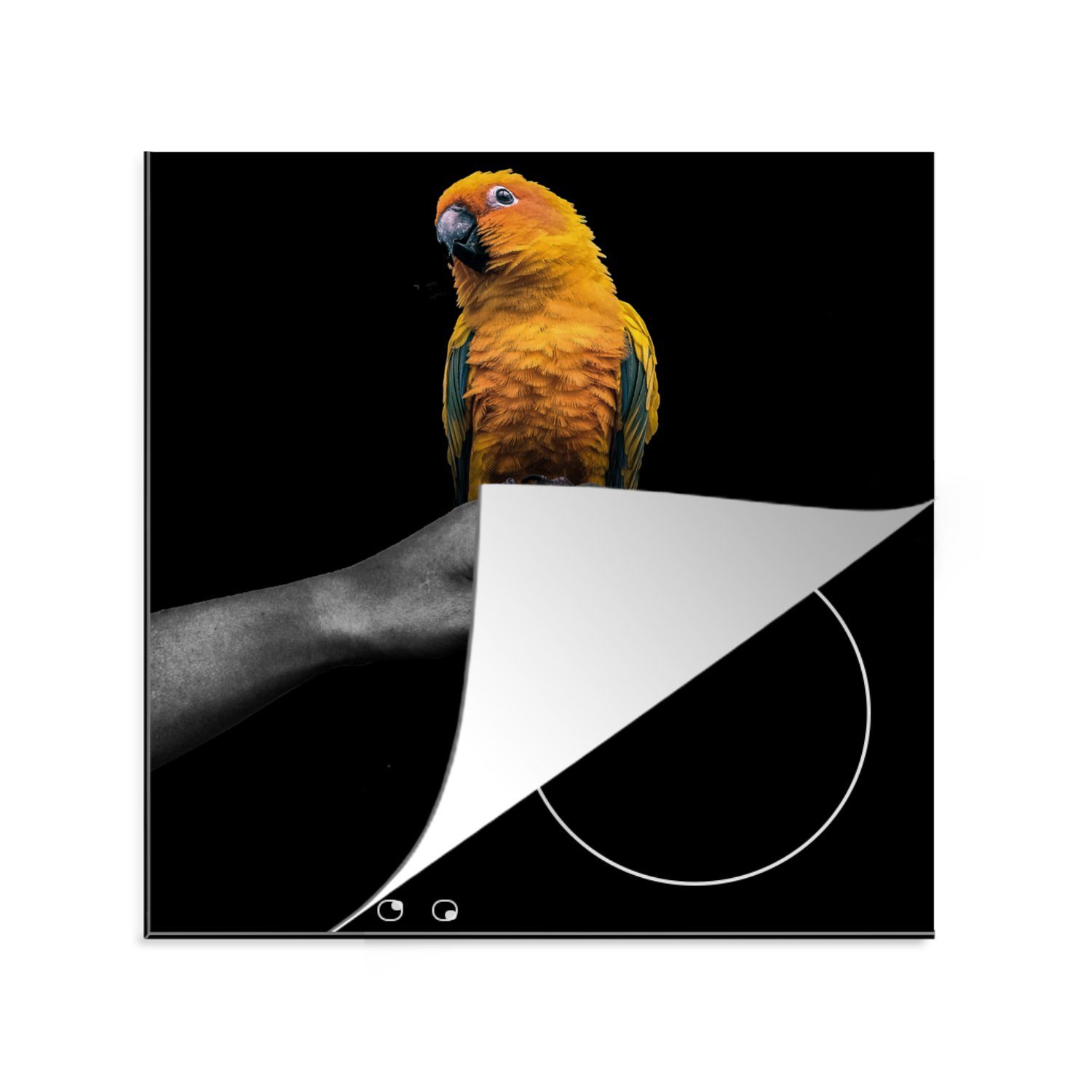 MuchoWow Herdblende-/Abdeckplatte Vogel - Papagei - Hand - Gelb, Vinyl, (1 tlg), 78x78 cm, Ceranfeldabdeckung, Arbeitsplatte für küche