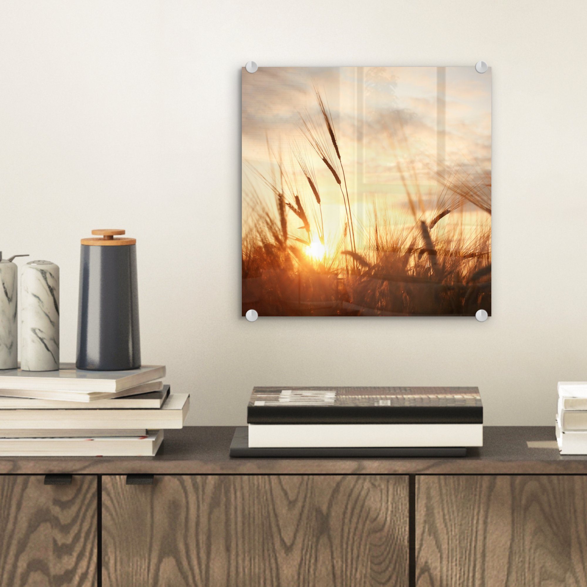 MuchoWow Acrylglasbild Schilf - Gras - günstig online kaufen