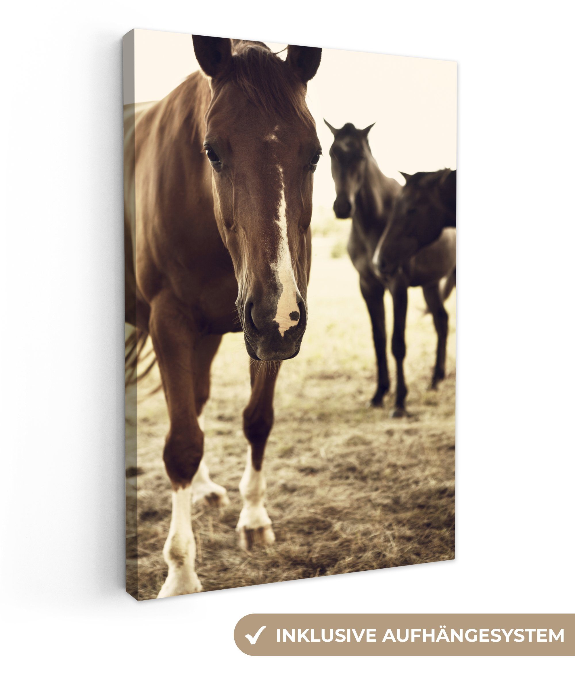 OneMillionCanvasses® Leinwandbild Pferde Sepia-Fotodruck, (1 St), Leinwandbild fertig bespannt inkl. Zackenaufhänger, Gemälde, 20x30 cm bunt