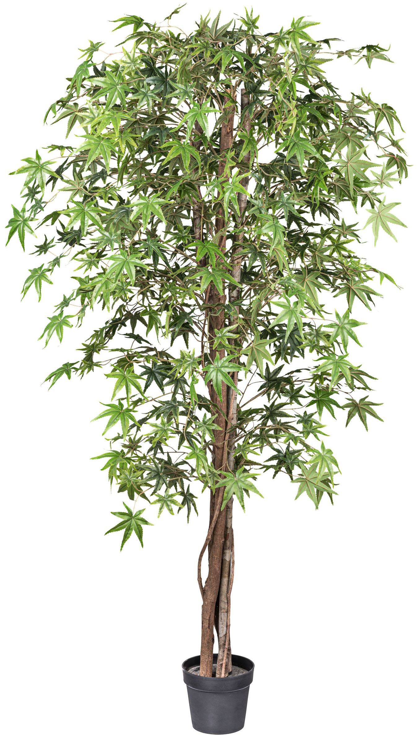 Kunstbaum Japanischer Fächerahorn