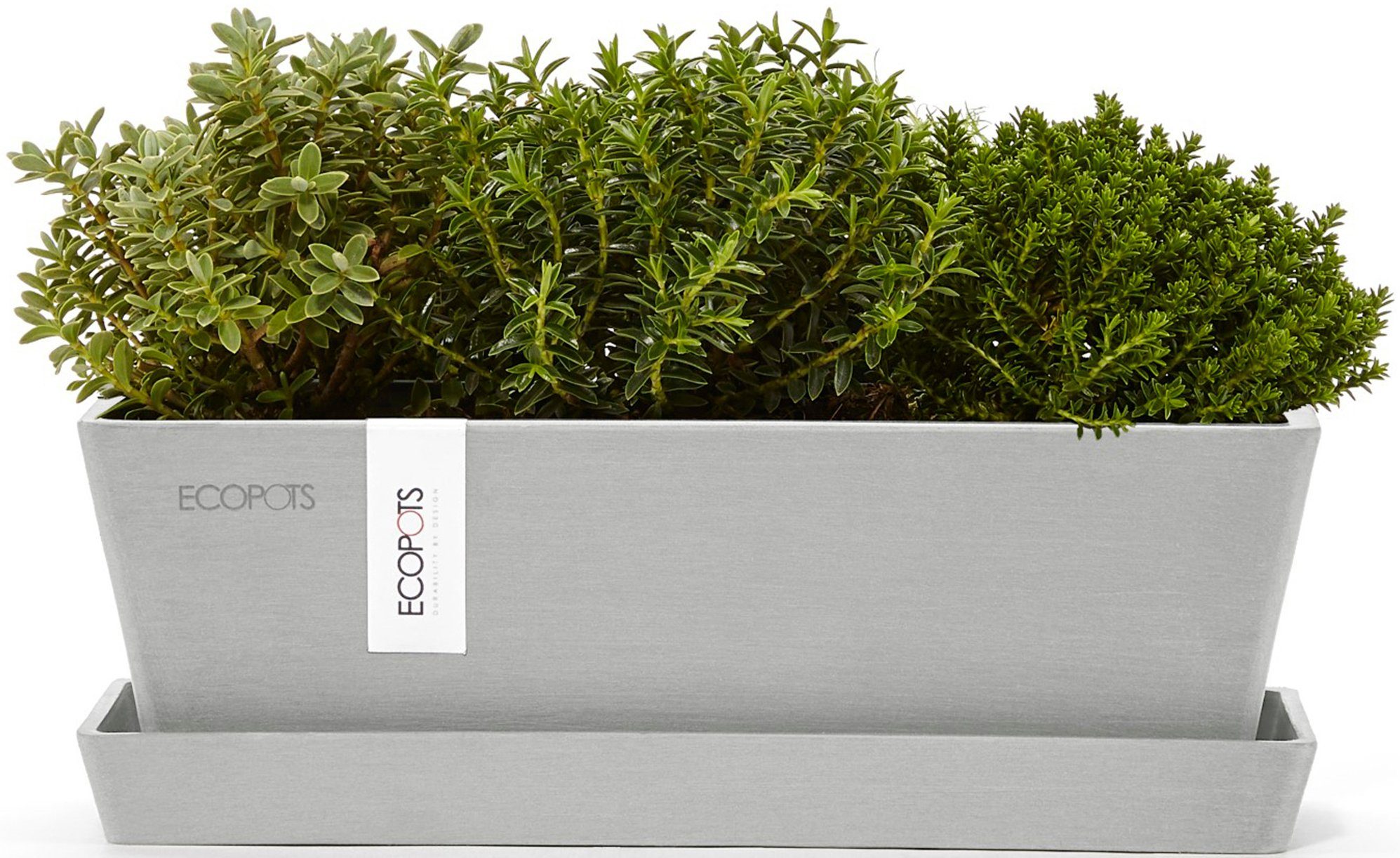 ECOPOTS Balkonkasten Bruges Mini 25 Weißgrau, günstig online kaufen
