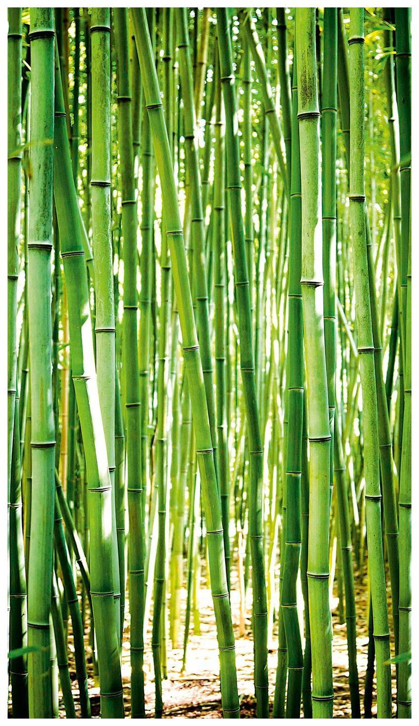 Bodenmeister Fototapete »Bambus-Wald grün«-Otto
