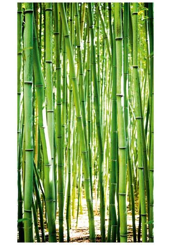 Bodenmeister Fototapetas »Bambus-Wald grün«