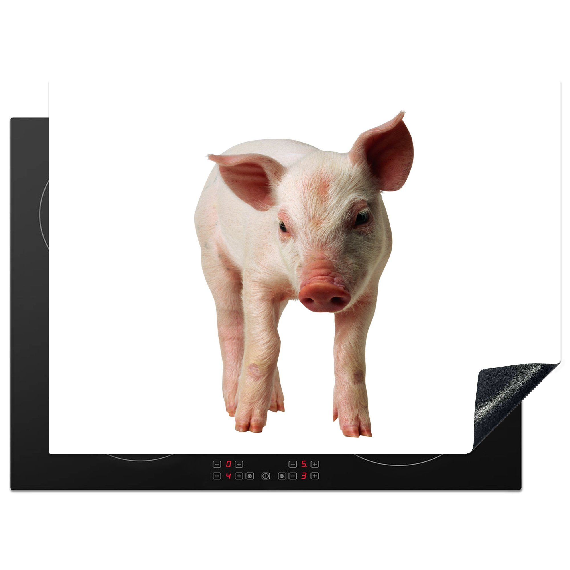 MuchoWow Herdblende-/Abdeckplatte Neugieriges Ferkel auf weißem Hintergrund, Vinyl, (1 tlg), 70x52 cm, Mobile Arbeitsfläche nutzbar, Ceranfeldabdeckung