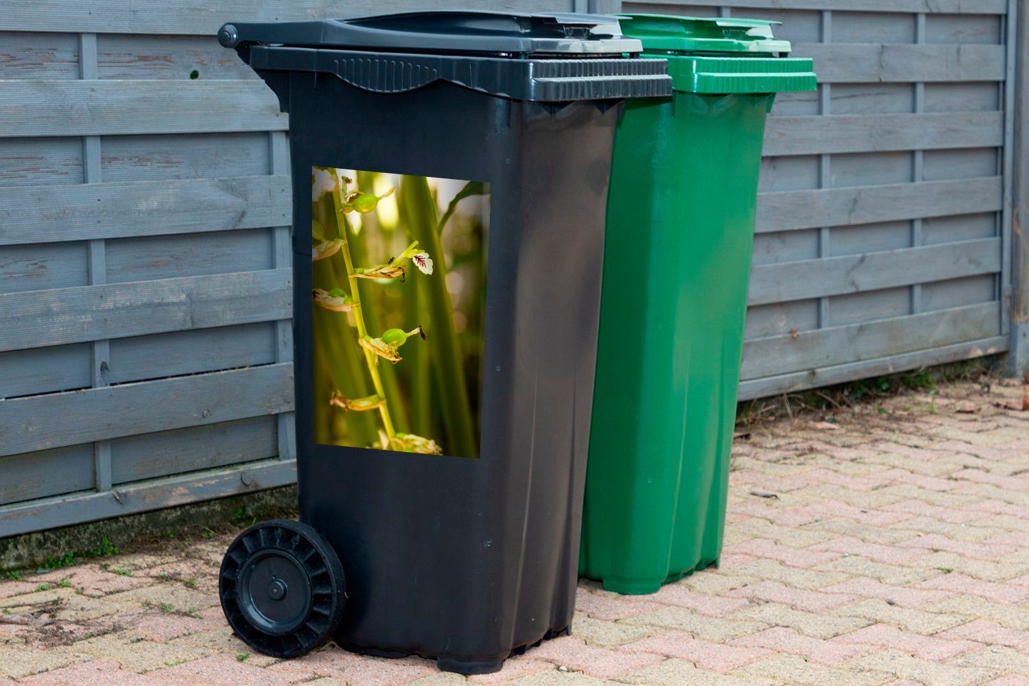 Kardamomsamen Container, MuchoWow St), Abfalbehälter Mülltonne, (1 Sticker, Natur in Blühende Mülleimer-aufkleber, Wandsticker der