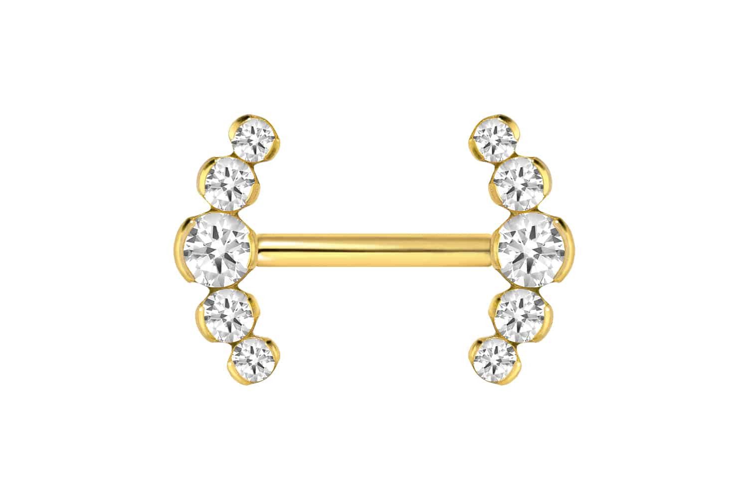 PIERCINGLINE Brustwarzenpiercing Titan Barbell mit Push Fit 5 KRISTALLE (Ba günstig online kaufen