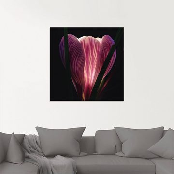 Artland Glasbild Beleuchtet, Blumen (1 St), in verschiedenen Größen
