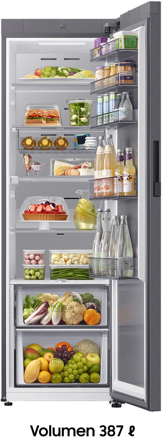 Samsung Kühlschrank RR80H39CCTEF
