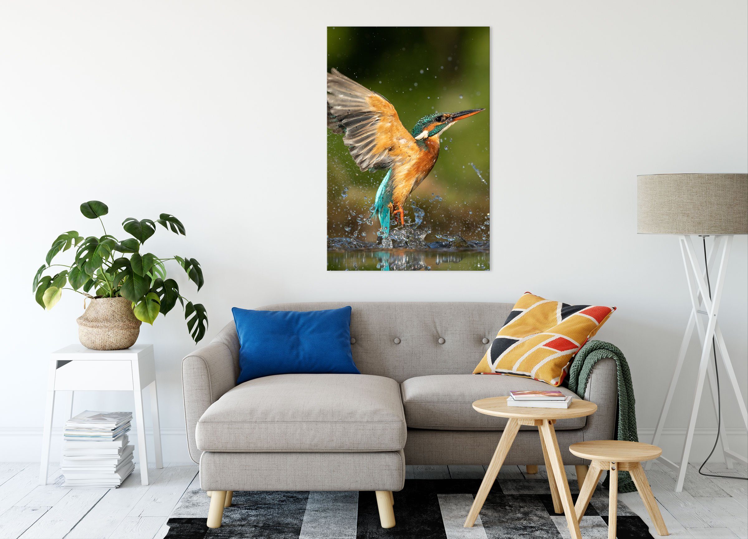Pixxprint Leinwandbild Eisvogel auf der Jagd nach Fischen, Eisvogel auf der Jagd nach Fischen (1 St), Leinwandbild fertig bespannt, inkl. Zackenaufhänger