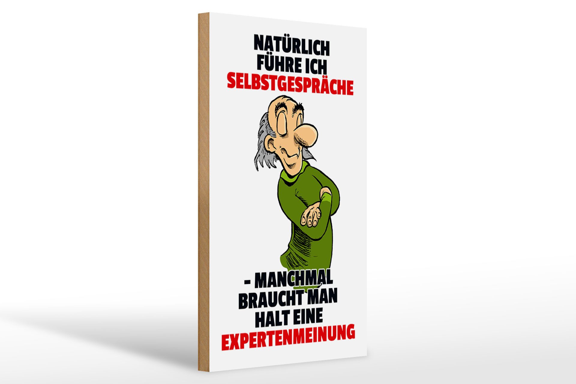 Holzbild Spruch 20x30cm Selbstgespräche Expertenmeinung