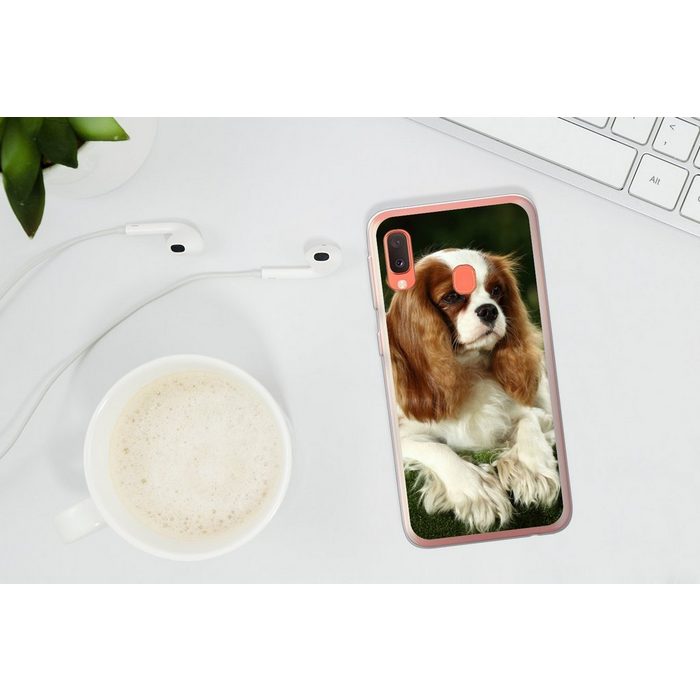 MuchoWow Handyhülle Porträt eines Cavalier King Charles Spaniels Handyhülle Samsung Galaxy A20e Smartphone-Bumper Print Handy QR11121