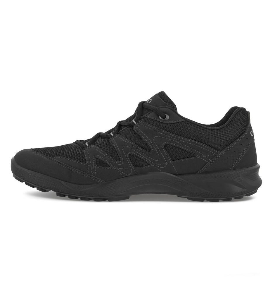 Ecco Wanderschuhe Terracruise LT Low GTX günstig online kaufen