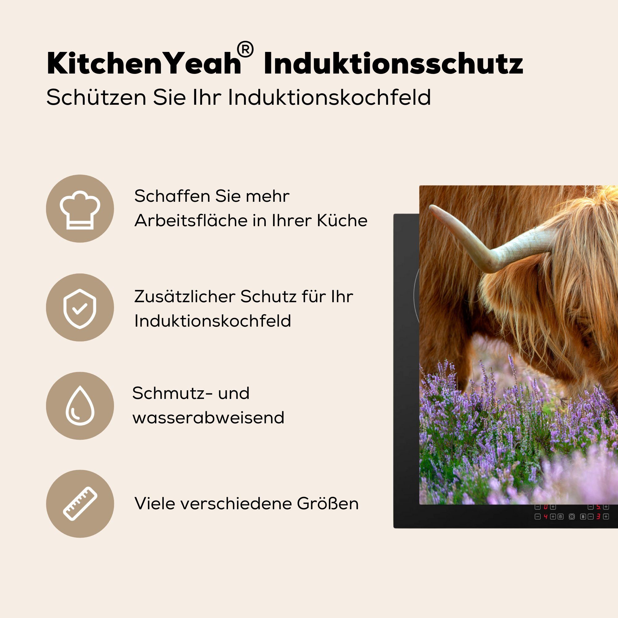 - Highlander Schottische für Vinyl, Herdblende-/Abdeckplatte Heidekraut MuchoWow 59x52 Induktionsmatte (1 cm, tlg), - - küche, Ceranfeldabdeckung Gras die Tiere,
