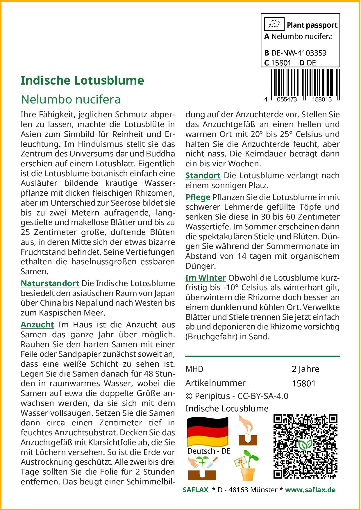 SAFLAX Blumensamen SAFLAX - Samen - günstig online kaufen