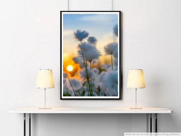 Sinus Art Poster 90x60cm Poster Naturfotografie Baumwollpflanzen bei Sonnenaufgang