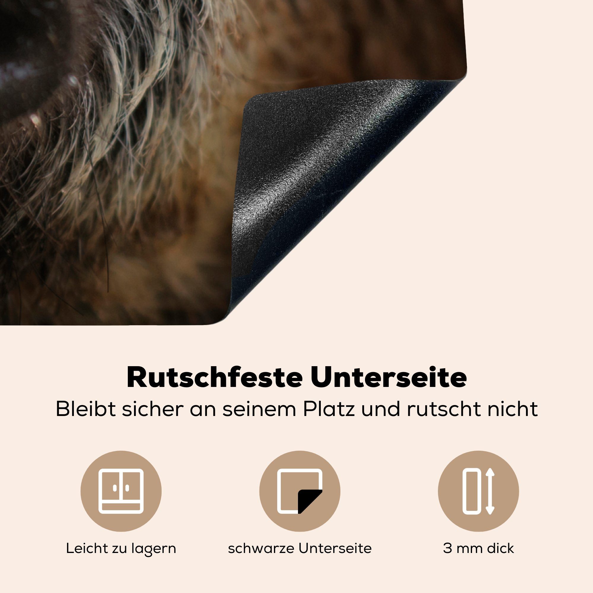 MuchoWow Herdblende-/Abdeckplatte Wildschwein für Tier - (1 tlg), Ceranfeldabdeckung, 78x78 küche Arbeitsplatte - cm, Vinyl, Schwein
