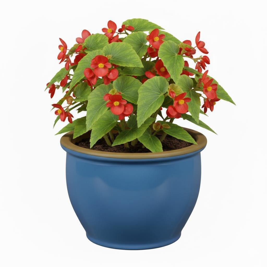 Teramico Pflanzkübel Blumentopf Pflanzgefäß aus Keramik Modell "Roma" 38cm günstig online kaufen