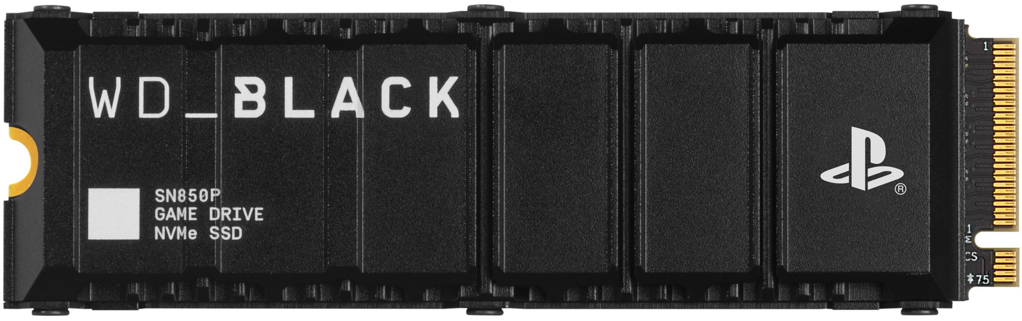 WD_Black SN850P interne SSD (1 TB), NVMe SSD, mit Heatsink