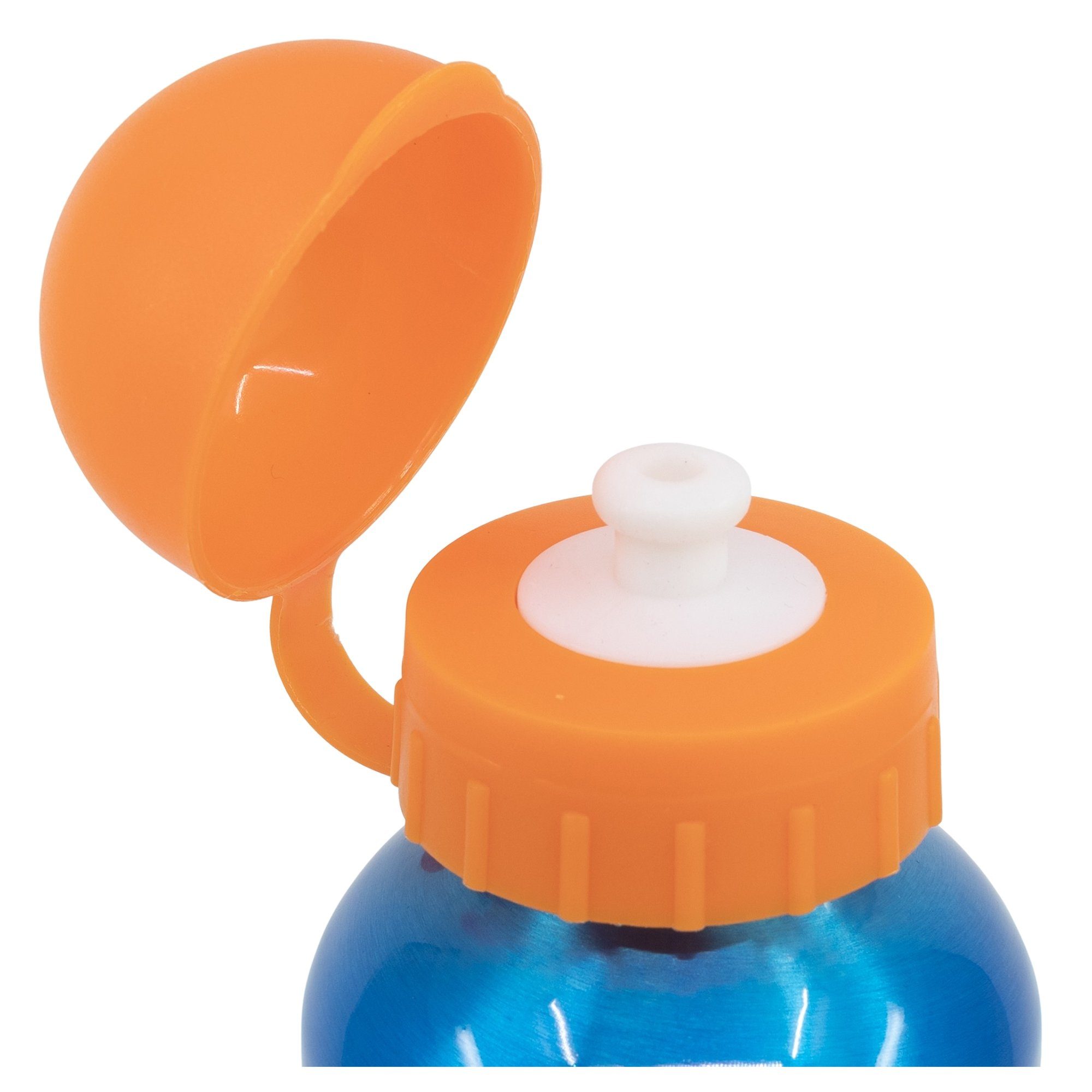 POKÉMON Trinkflasche Pokemon Pikachu and Friends ALU Wasserflasche Flasche 530 ml