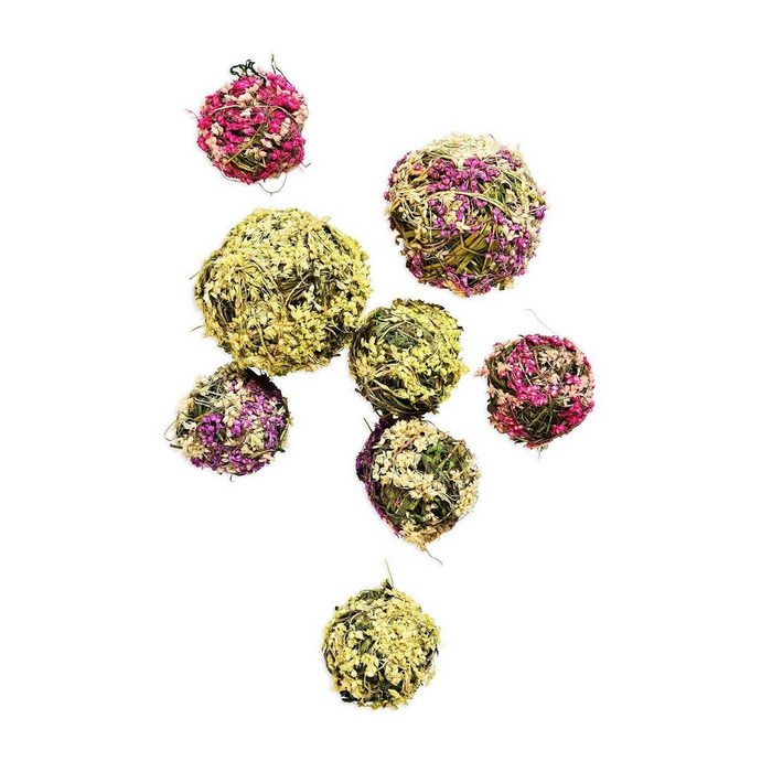 Trockenblume Trockenblütenbälle-Mix Emma Depot aus Trockenblume 8 Stück