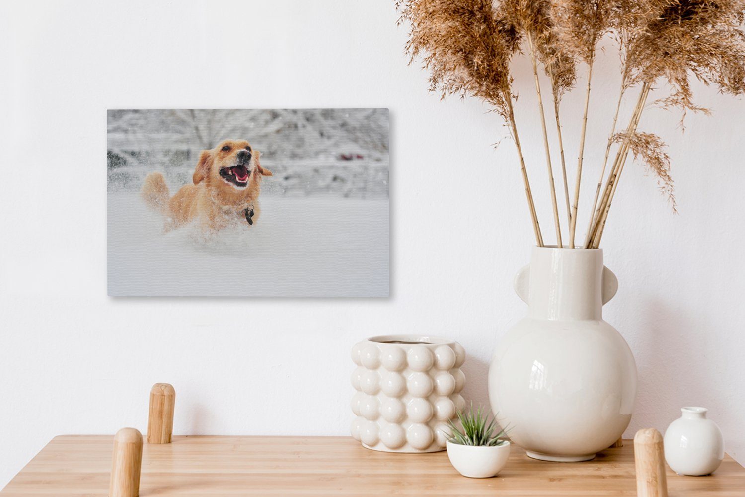 OneMillionCanvasses® Leinwandbild Hund - Schnee Leinwandbilder, - (1 cm Wandbild Wanddeko, St), 30x20 Aufhängefertig, Winter