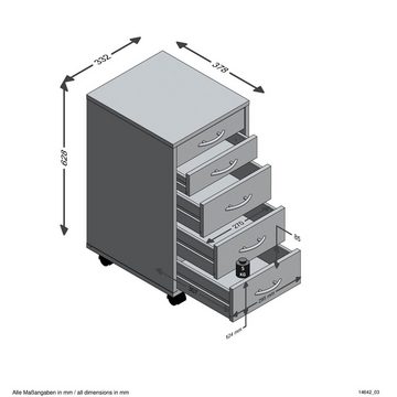 FMD Rollcontainer Freddy