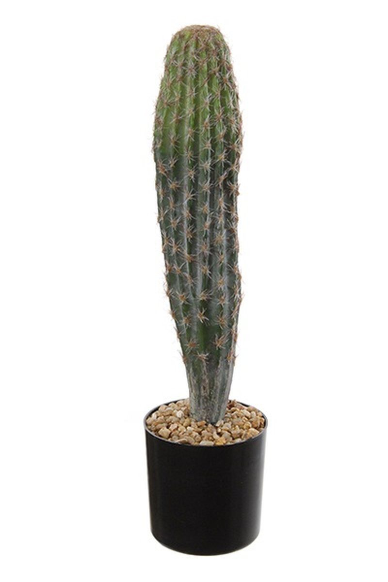 Kunstkaktus Deko Kaktus San Pedro Deniz, grün, 40cm San Pedro Kaktus, artplants, Höhe 40.0 cm