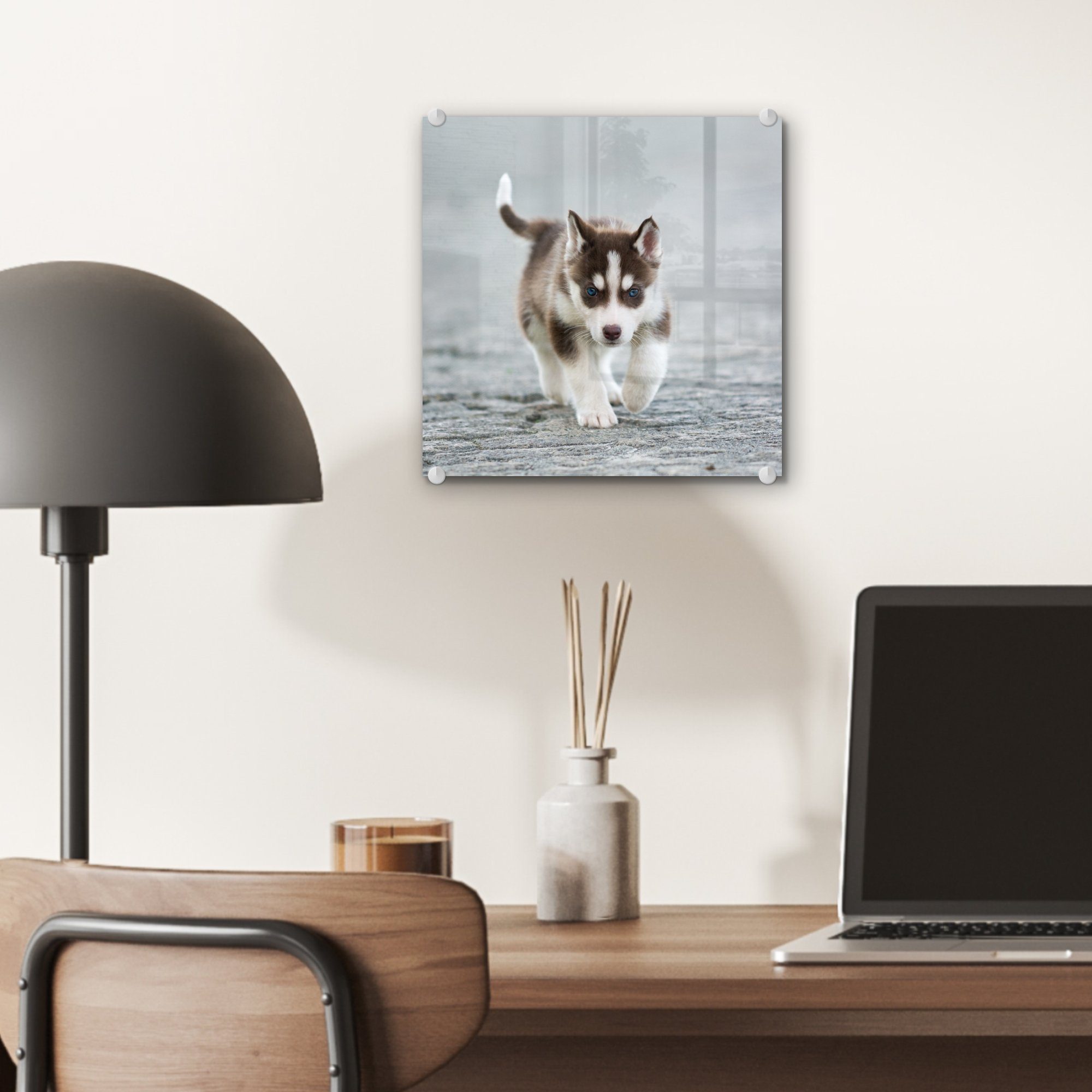 St), Husky-Welpe Glasbilder Foto Glas - (1 läuft Glas Straße, MuchoWow über Wanddekoration Acrylglasbild die auf - auf Bilder Wandbild -