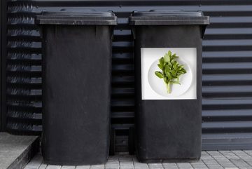 MuchoWow Wandsticker Ein Porzellanteller mit einer großen Münzpflanze (1 St), Mülleimer-aufkleber, Mülltonne, Sticker, Container, Abfalbehälter