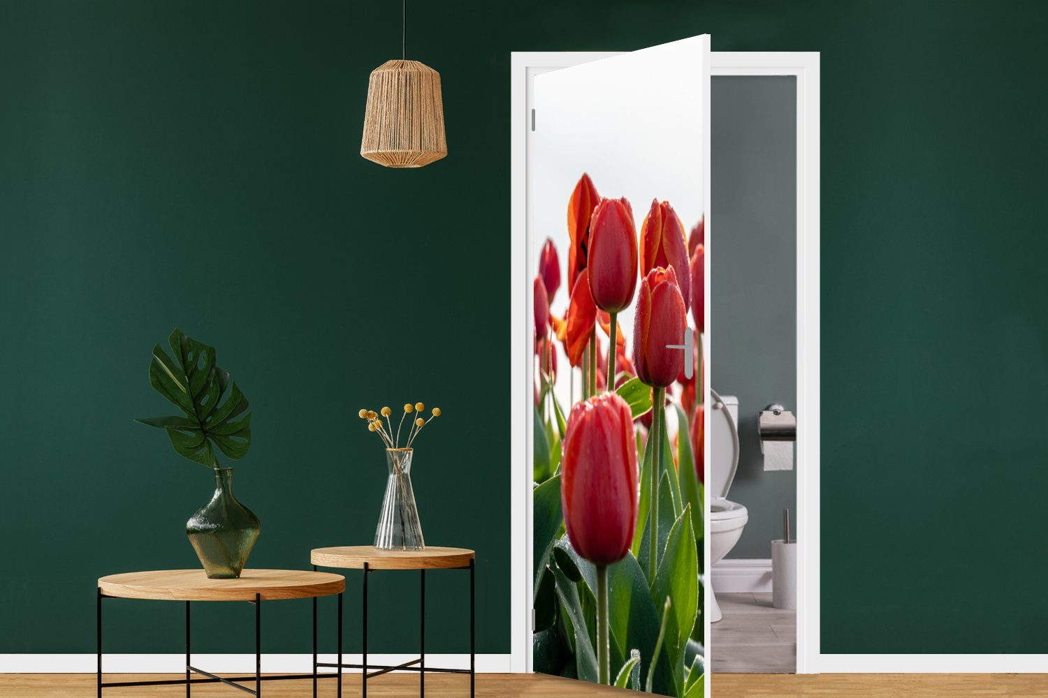 MuchoWow Gebiet Tür, Türaufkleber, Fototapete Türtapete mit in cm für bedruckt, St), 75x205 Niederlanden, den Tulpen roten Matt, Ein (1