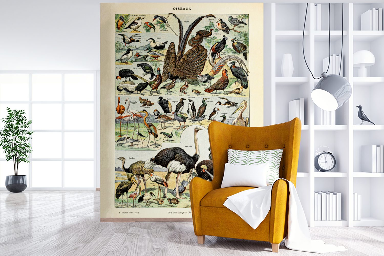 - Tiere bedruckt, Tapete Matt, St), Kunstwerk, MuchoWow Fototapete Vintage Wandtapete Montagefertig Natur Vogel Vinyl für - - Wohnzimmer, (4 -