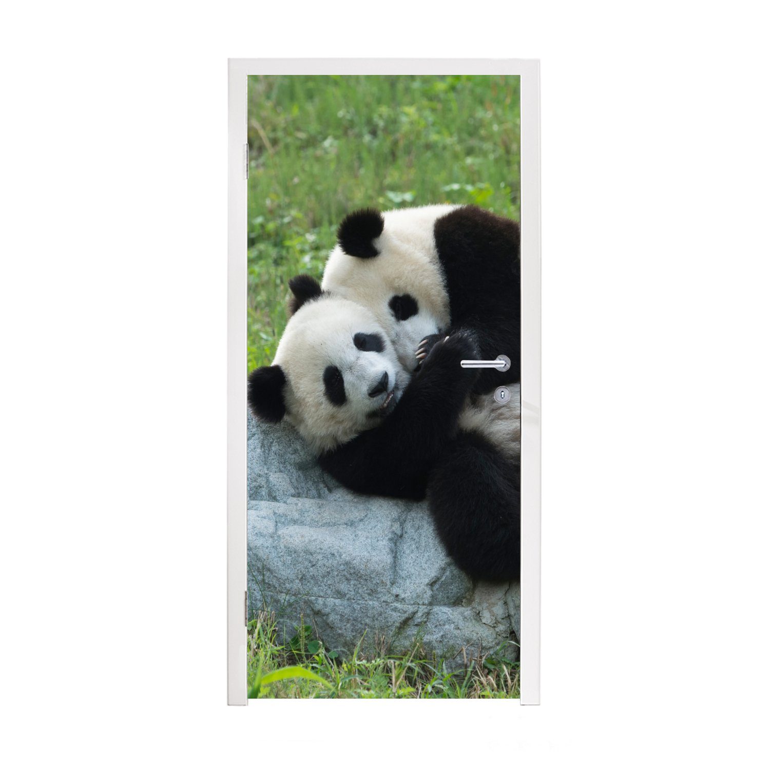 MuchoWow Türtapete Pandas - Gras - Stein, Matt, bedruckt, (1 St), Fototapete für Tür, Türaufkleber, 75x205 cm