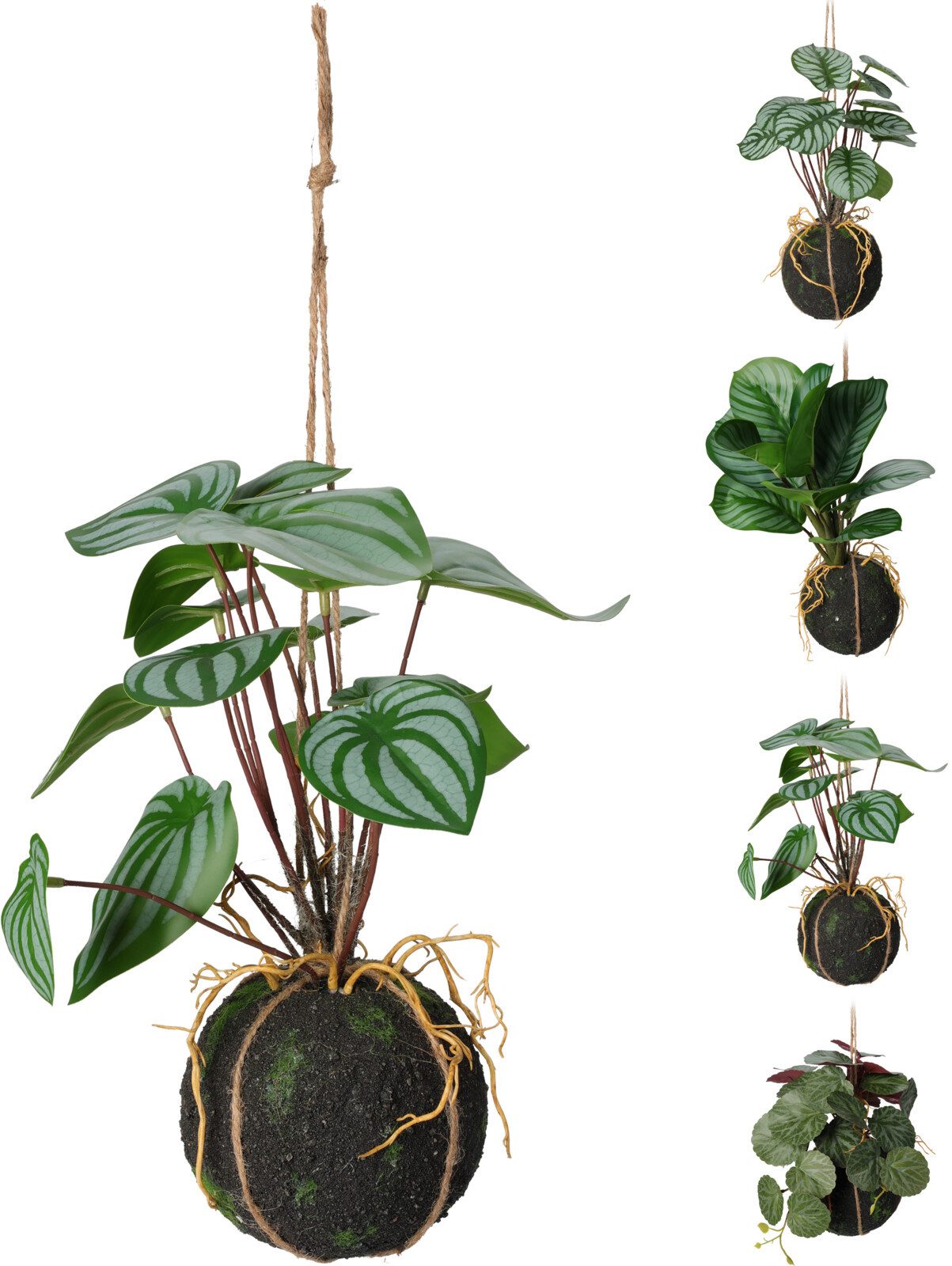 Künstliche Zimmerpflanze Hängepflanze 30cm BOTANIC, Koopman